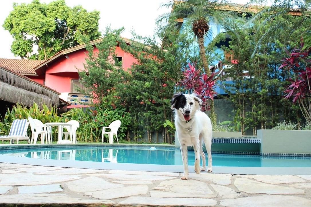 Pousada North Shore Maresias - 2 Quadras Da Praia - Casas De 2 Quartos - 80 M2 -2 Banheiros -Piscina Sauna - Estacion-Churrasq Privativa -Wifi Animais De Peq Porte Roupa De Cama E Banho Εξωτερικό φωτογραφία